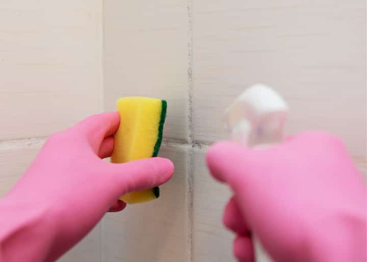 mold remediation buffalo ny