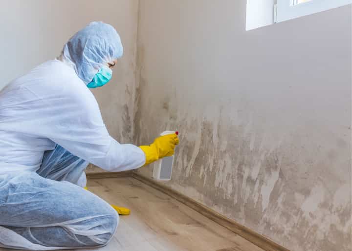 mold testing buffalo ny
