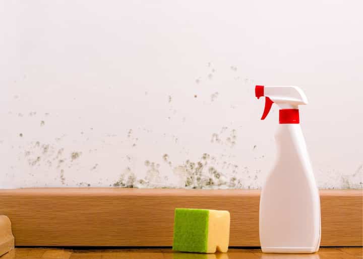 mold remediation buffalo ny