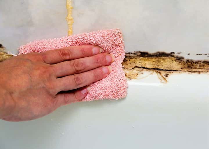 mold remediation buffalo ny