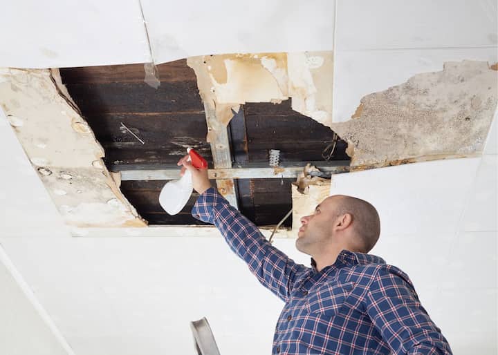 mold removal Buffalo