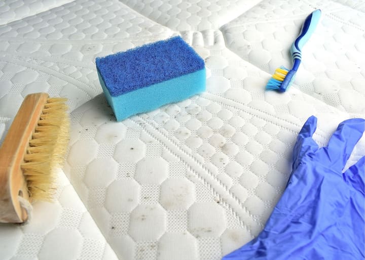 mold testing buffalo ny