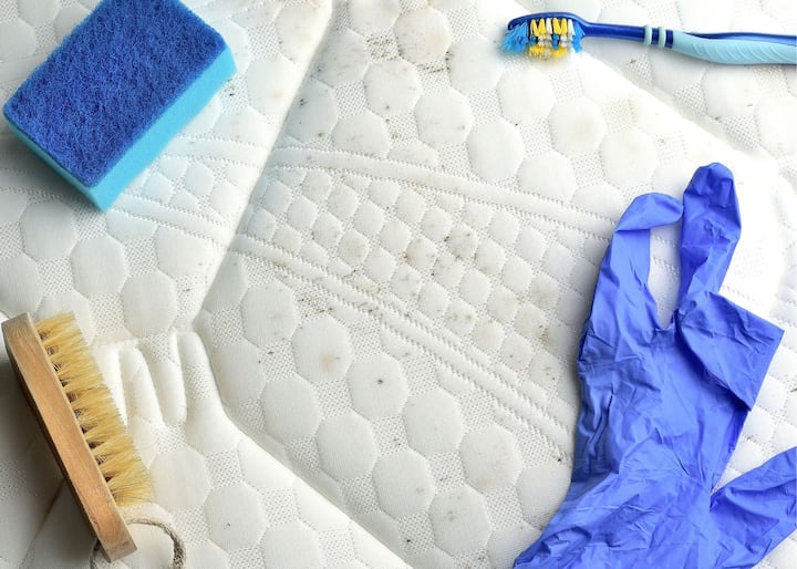 mold testing buffalo ny