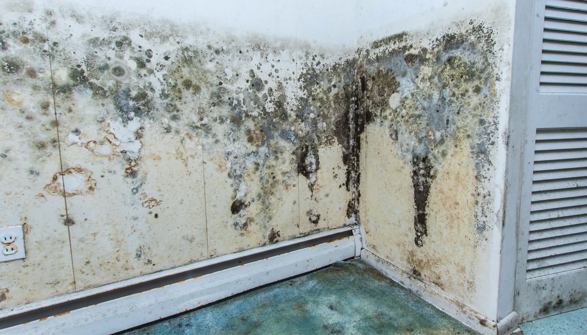 Professional mold removal, odor control, and water damage restoration service in Buffalo, New York.