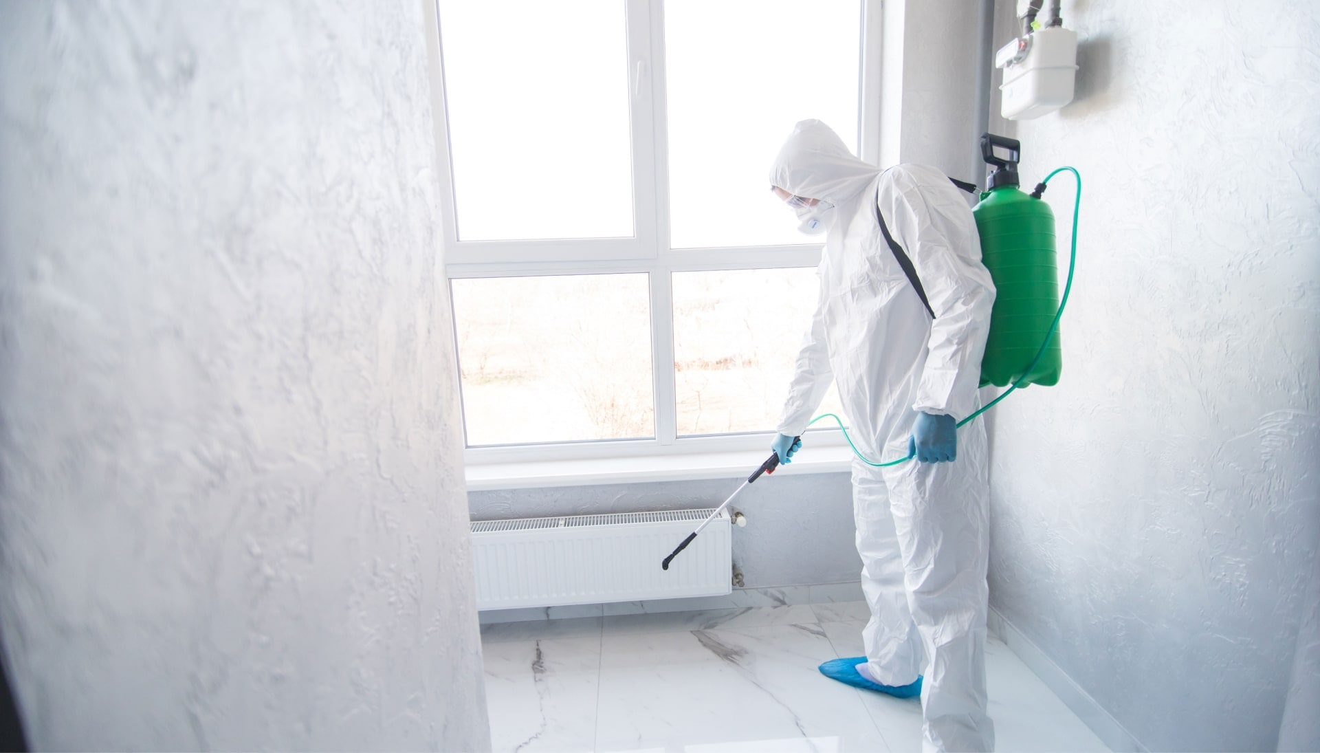 We provide the highest-quality mold inspection, testing, and removal services in the Buffalo, New York area.